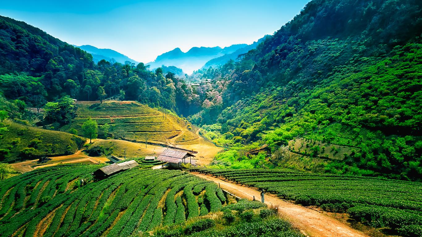 Chiang Mai 🇹🇠- globalnomadpass
