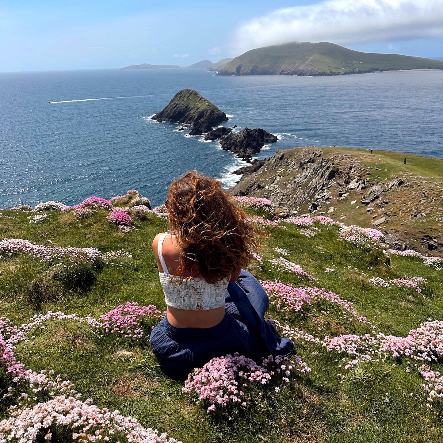 Global Nomad Pass - Annual Membership (Liz's Great Perhaps Edition)