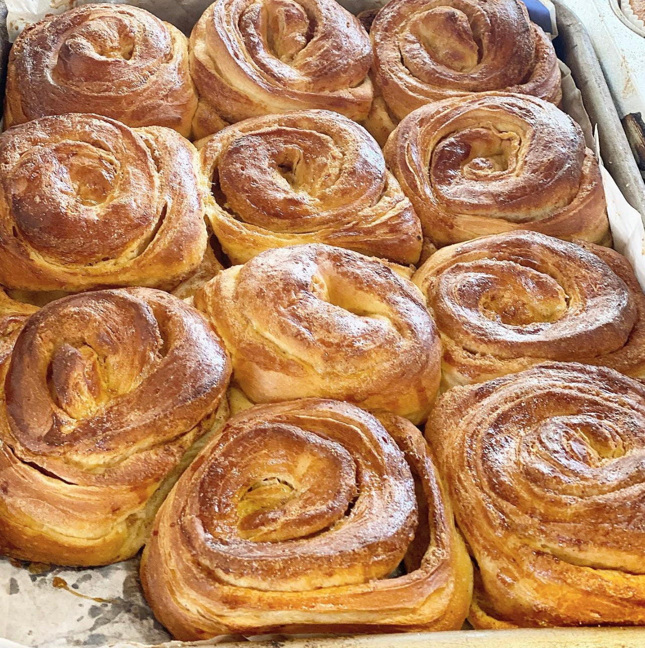 SABE Gastronómica
