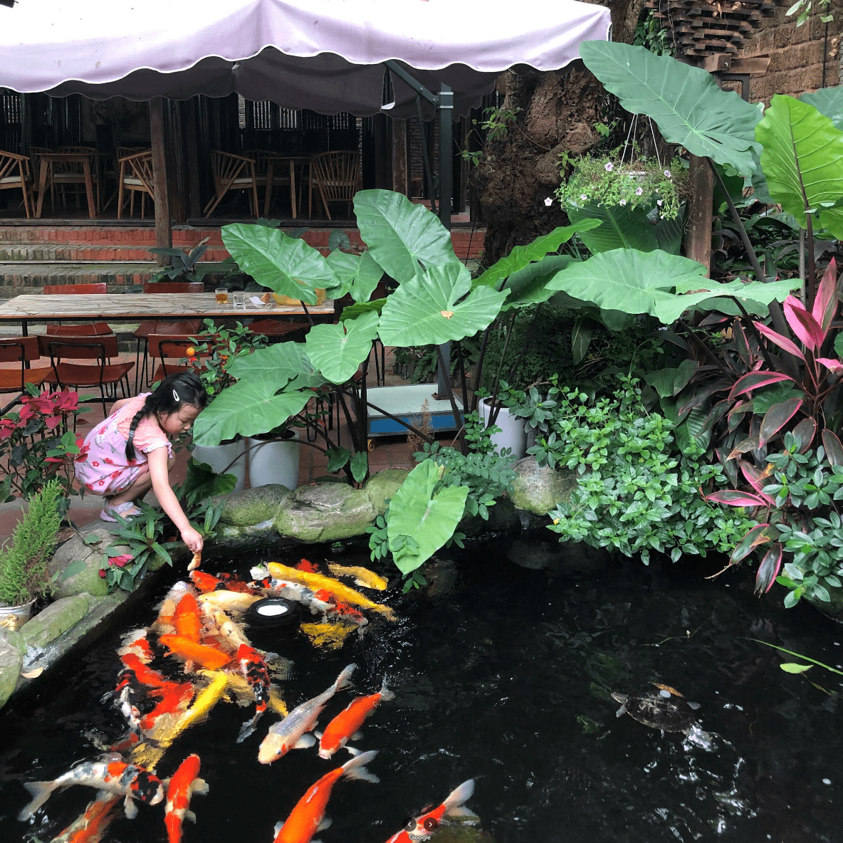 Đà Nẵng Ơi Coffee - globalnomadpass