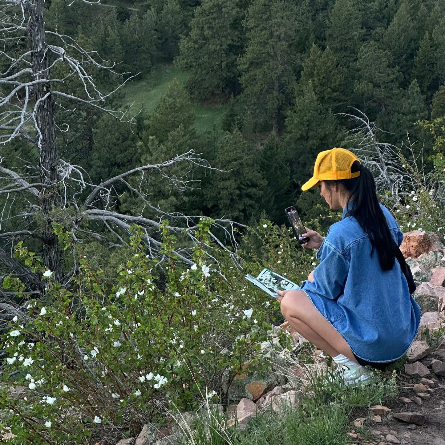 Global Nomad Pass - Annual Membership (Alondra Aguirre Edition) - globalnomadpass