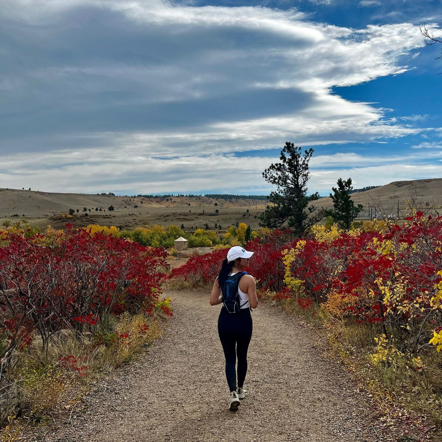 Global Nomad Pass - Annual Membership (Alondra Aguirre Edition) - globalnomadpass