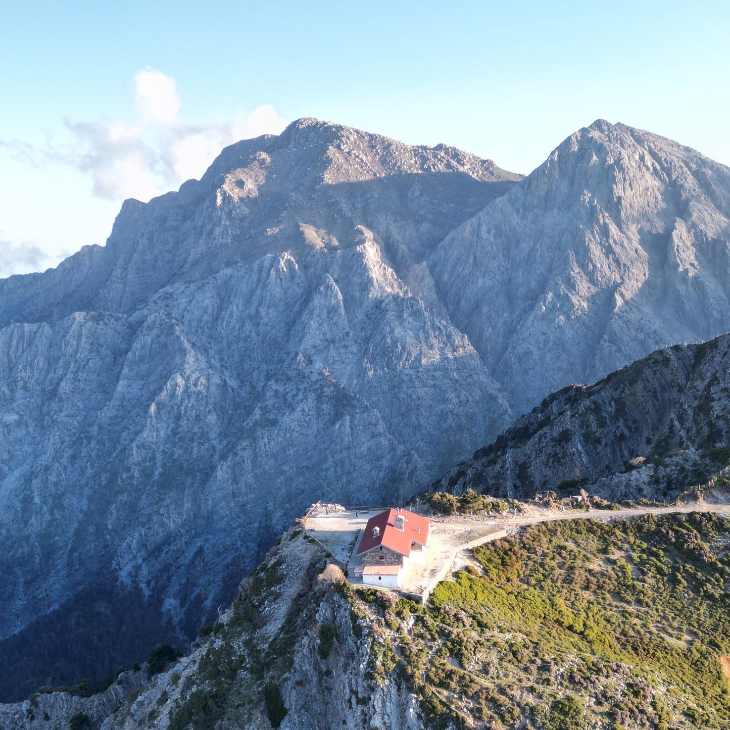 Cretan Wild