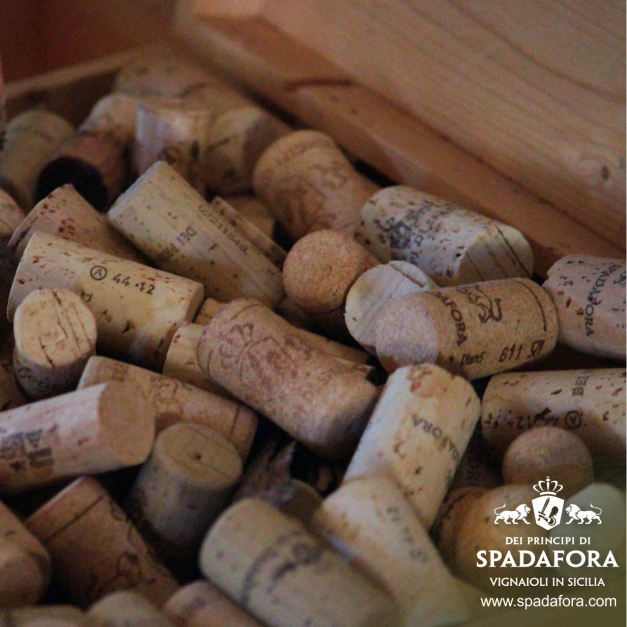 Dei Principi Di Spadafora - Winery