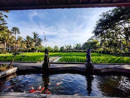 Tropical View Ubud