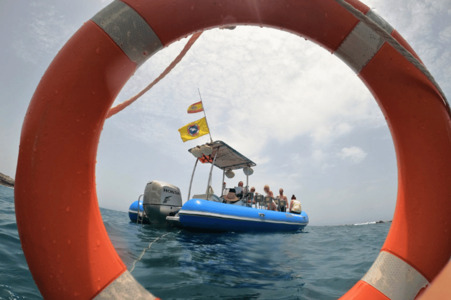 Eco Tours (Whale Watching)