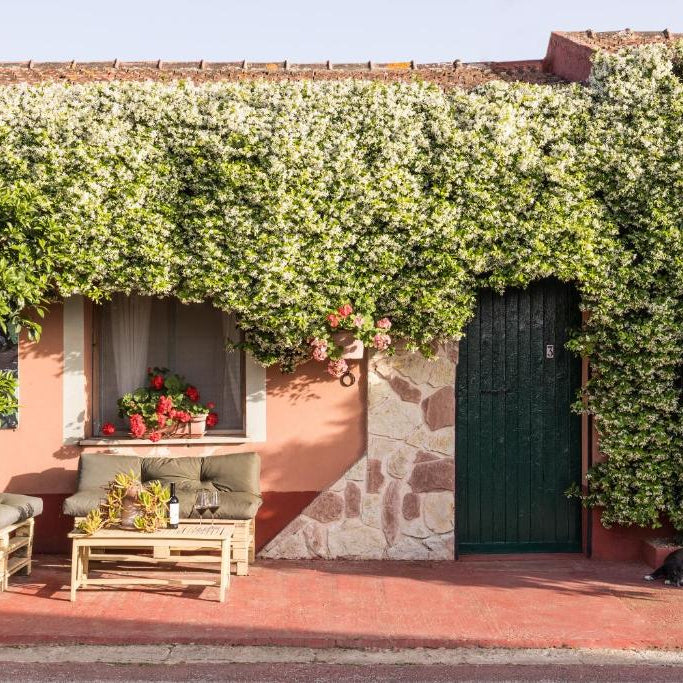 Dei Principi Di Spadafora - Stay