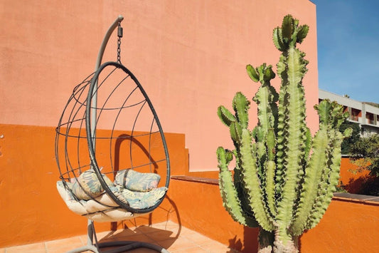 Cactus Coliving Tenerife